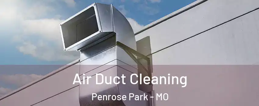 Air Duct Cleaning Penrose Park - MO