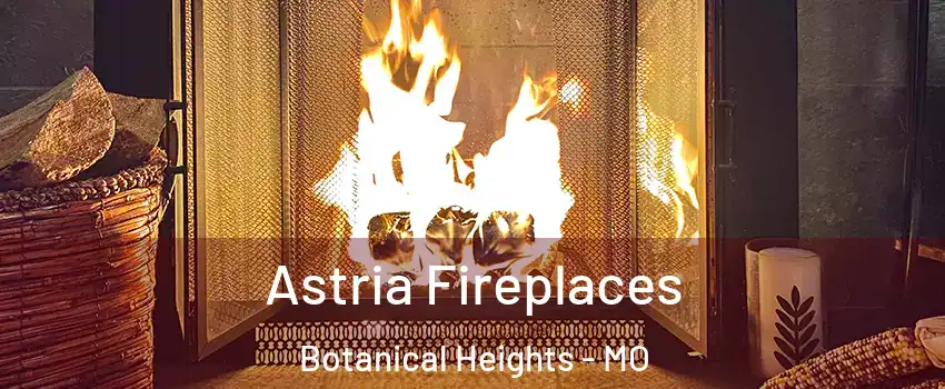 Astria Fireplaces Botanical Heights - MO