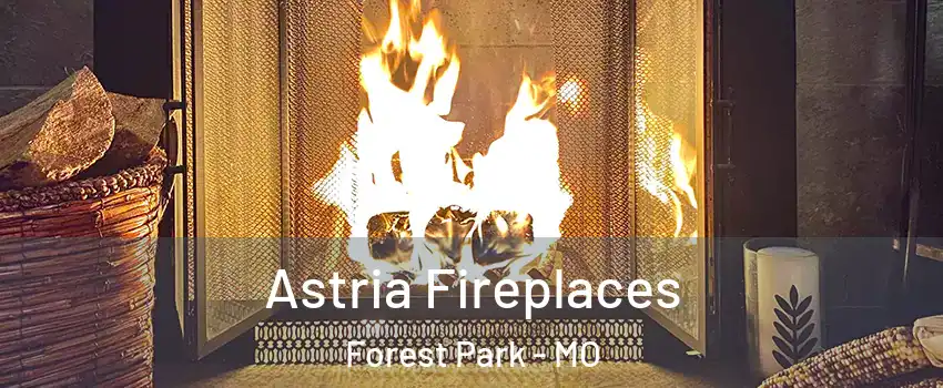 Astria Fireplaces Forest Park - MO