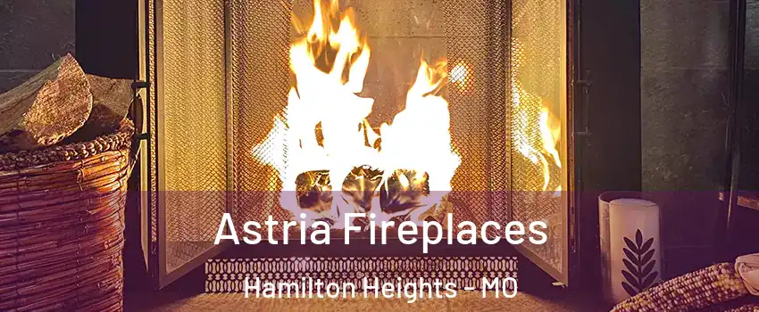 Astria Fireplaces Hamilton Heights - MO