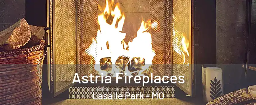 Astria Fireplaces Lasalle Park - MO