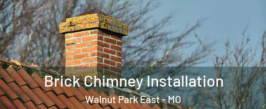 Brick Chimney Installation Walnut Park East - MO