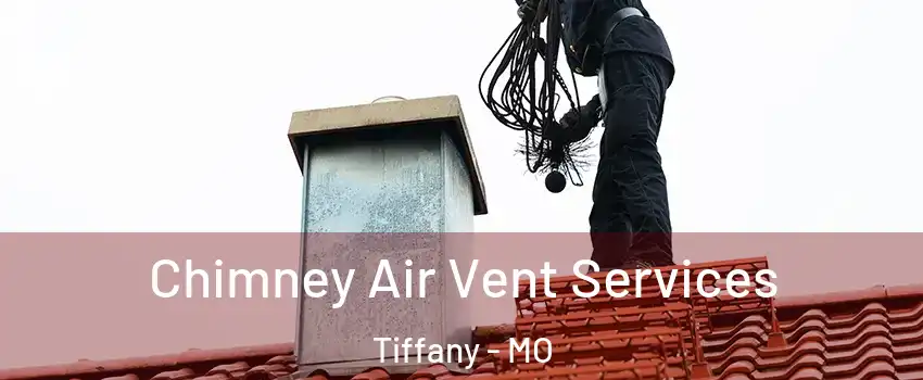 Chimney Air Vent Services Tiffany - MO