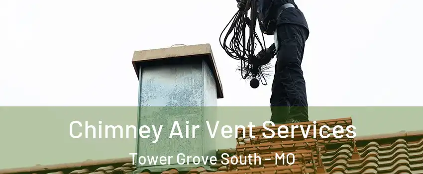 Chimney Air Vent Services Tower Grove South - MO