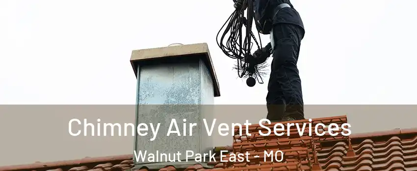 Chimney Air Vent Services Walnut Park East - MO