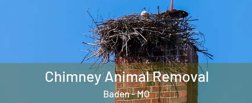 Chimney Animal Removal Baden - MO