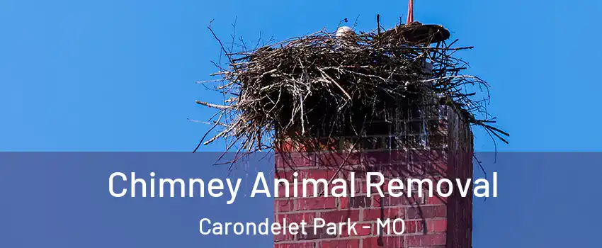 Chimney Animal Removal Carondelet Park - MO