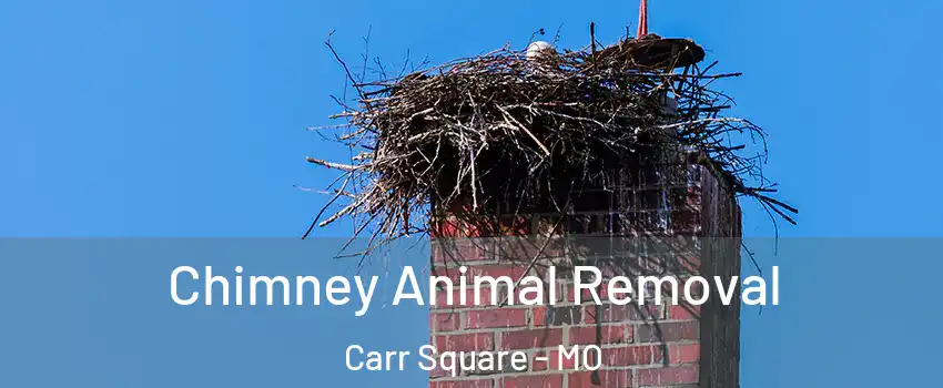 Chimney Animal Removal Carr Square - MO