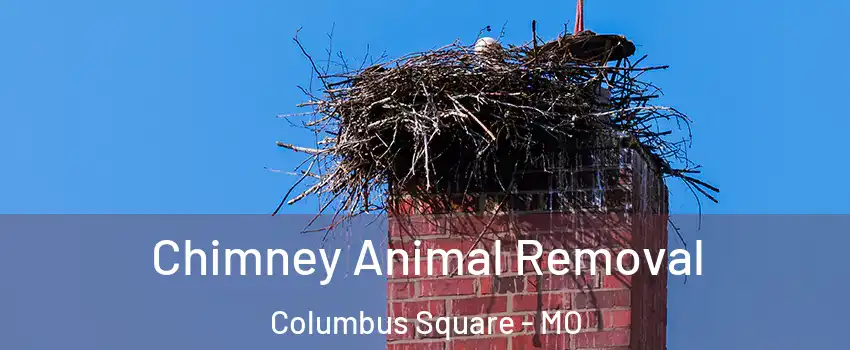Chimney Animal Removal Columbus Square - MO