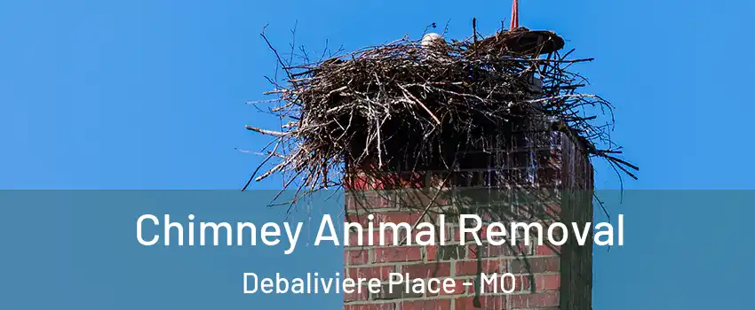 Chimney Animal Removal Debaliviere Place - MO