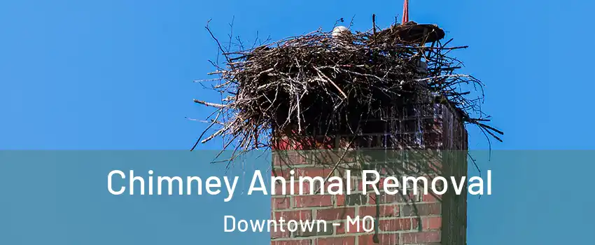 Chimney Animal Removal Downtown - MO