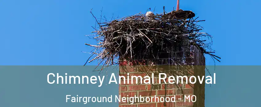Chimney Animal Removal Fairground Neighborhood - MO