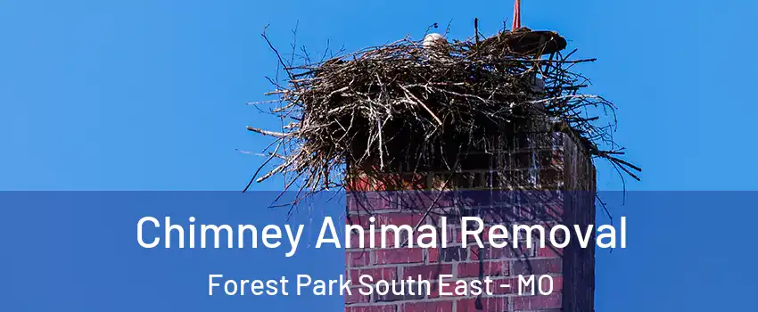 Chimney Animal Removal Forest Park South East - MO