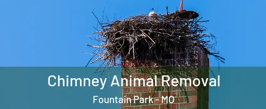 Chimney Animal Removal Fountain Park - MO
