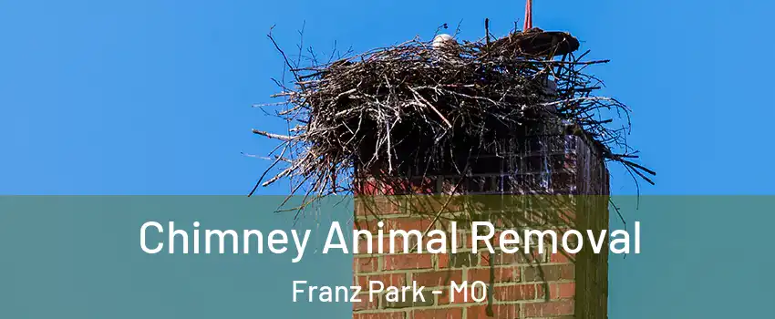 Chimney Animal Removal Franz Park - MO