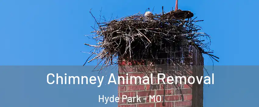 Chimney Animal Removal Hyde Park - MO