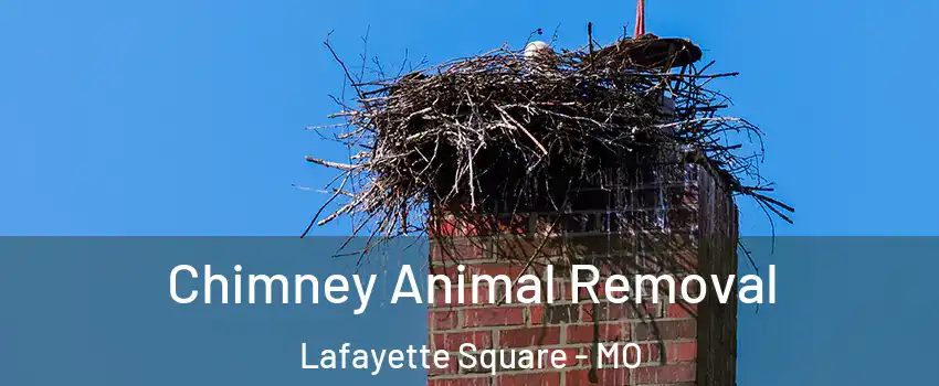 Chimney Animal Removal Lafayette Square - MO