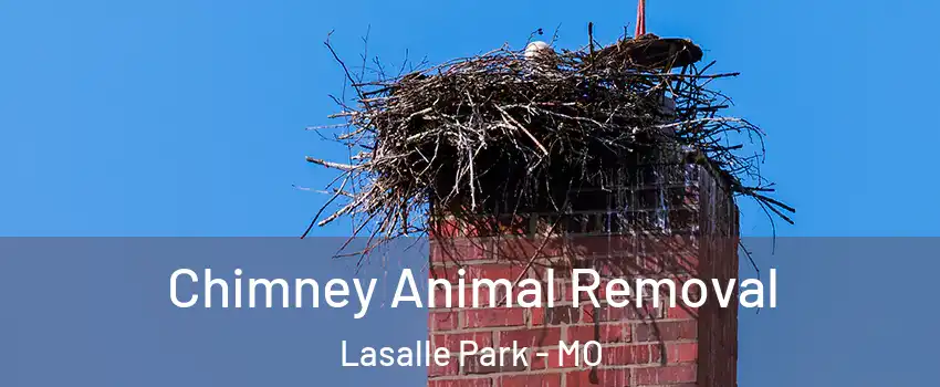 Chimney Animal Removal Lasalle Park - MO