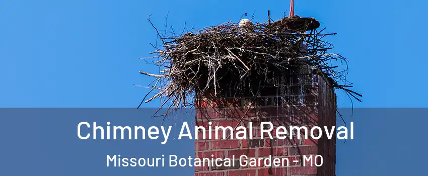 Chimney Animal Removal Missouri Botanical Garden - MO
