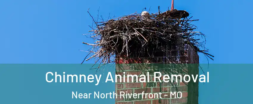 Chimney Animal Removal Near North Riverfront - MO