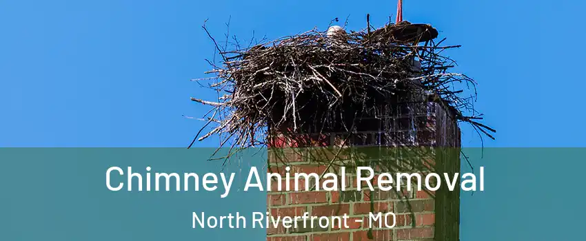 Chimney Animal Removal North Riverfront - MO