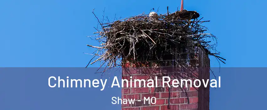 Chimney Animal Removal Shaw - MO