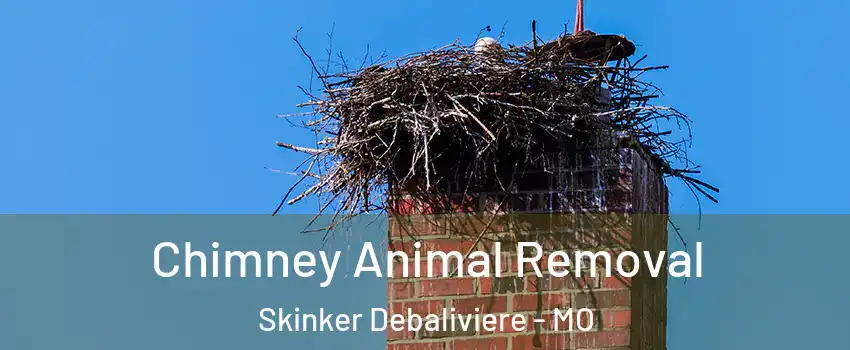 Chimney Animal Removal Skinker Debaliviere - MO