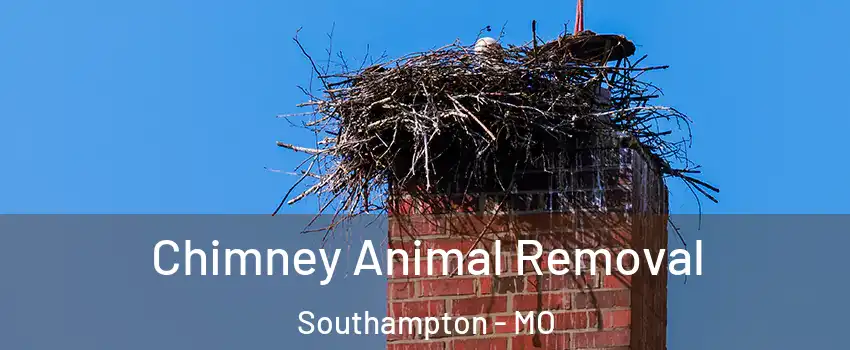 Chimney Animal Removal Southampton - MO