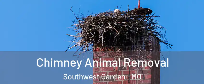 Chimney Animal Removal Southwest Garden - MO