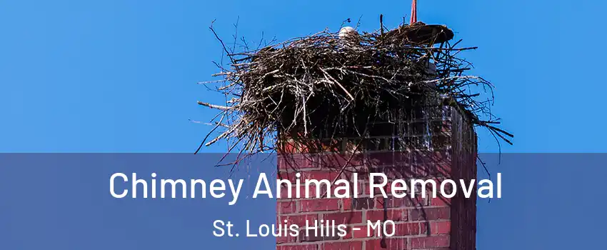 Chimney Animal Removal St. Louis Hills - MO