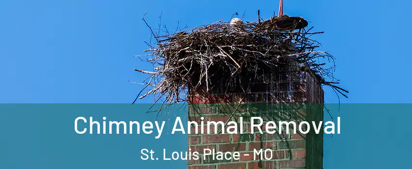 Chimney Animal Removal St. Louis Place - MO