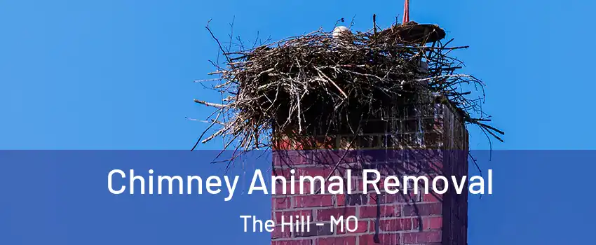 Chimney Animal Removal The Hill - MO