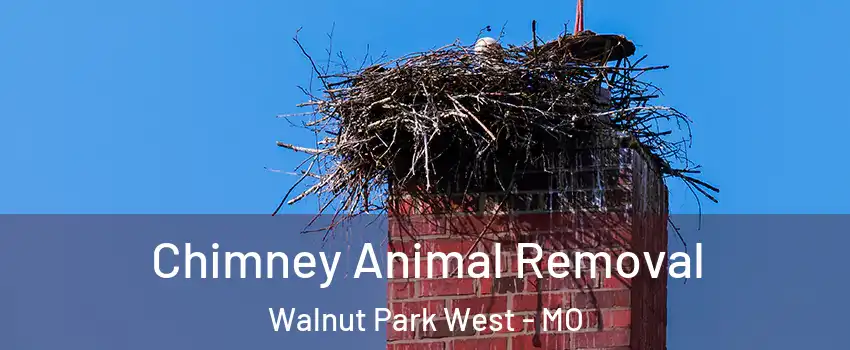 Chimney Animal Removal Walnut Park West - MO