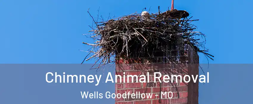 Chimney Animal Removal Wells Goodfellow - MO