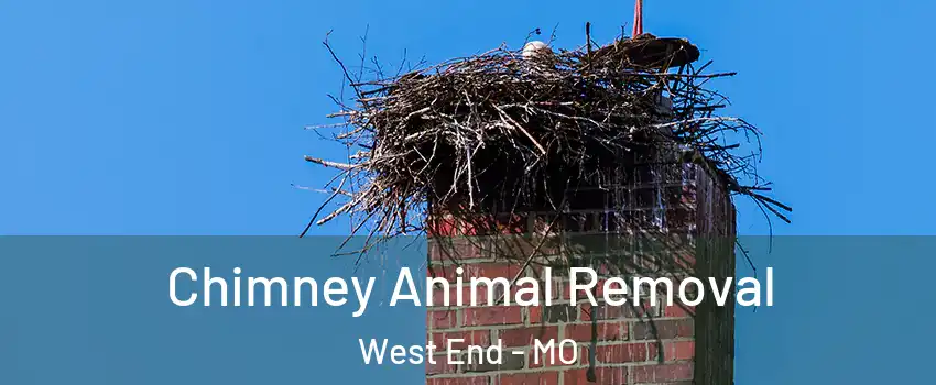Chimney Animal Removal West End - MO