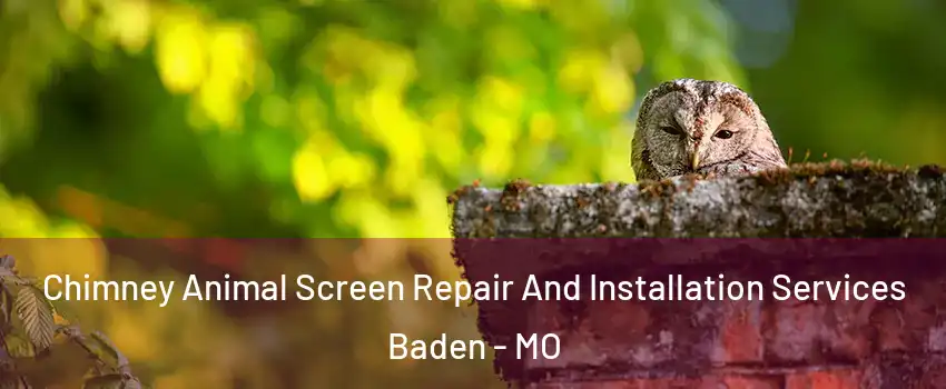 Chimney Animal Screen Repair And Installation Services Baden - MO