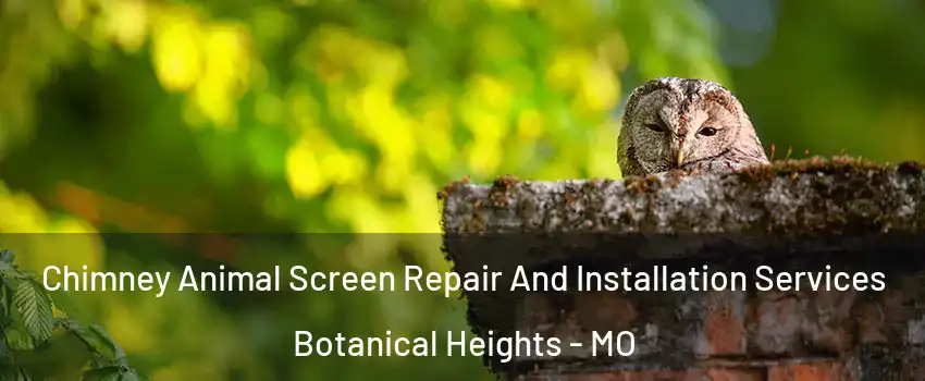Chimney Animal Screen Repair And Installation Services Botanical Heights - MO