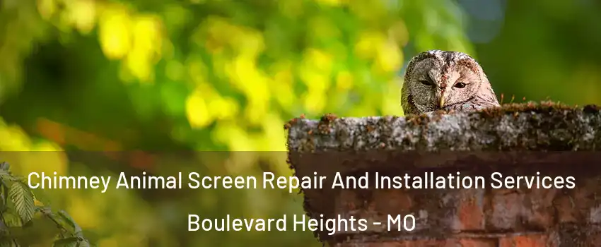 Chimney Animal Screen Repair And Installation Services Boulevard Heights - MO