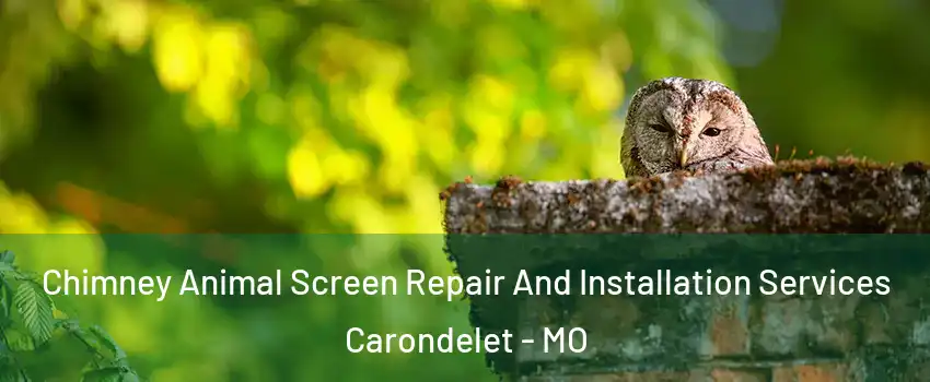 Chimney Animal Screen Repair And Installation Services Carondelet - MO