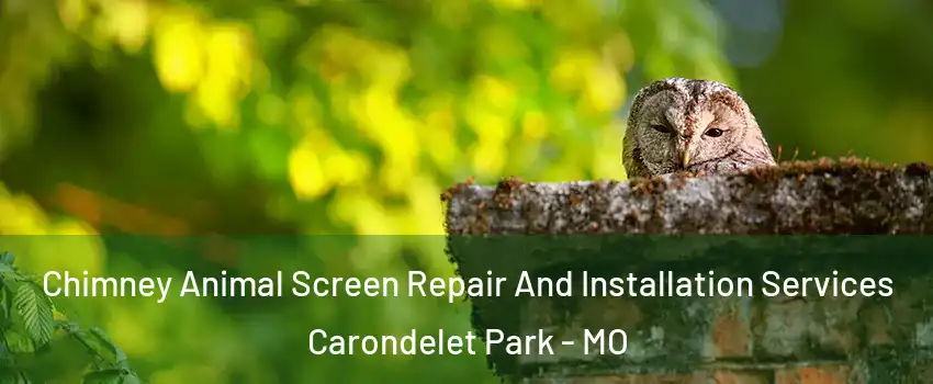Chimney Animal Screen Repair And Installation Services Carondelet Park - MO