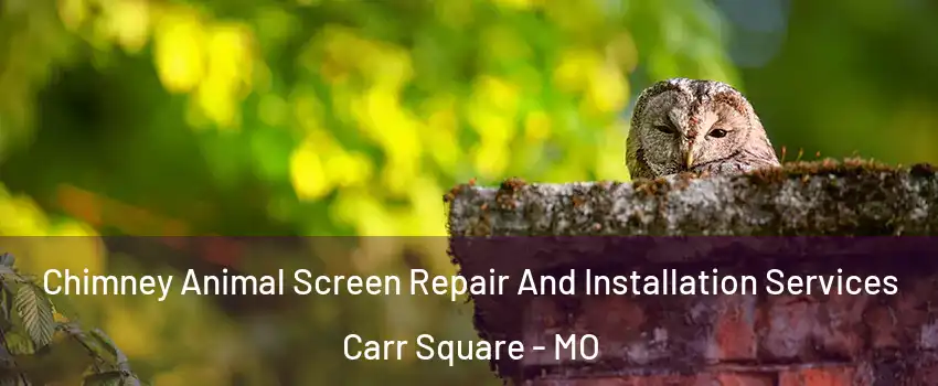 Chimney Animal Screen Repair And Installation Services Carr Square - MO