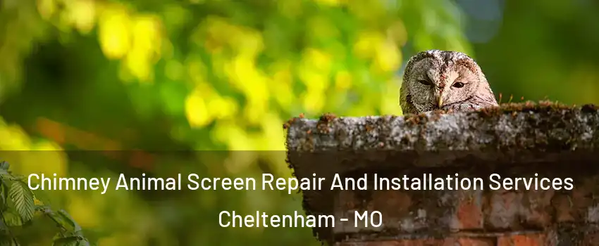 Chimney Animal Screen Repair And Installation Services Cheltenham - MO