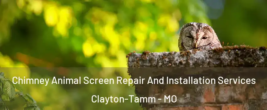 Chimney Animal Screen Repair And Installation Services Clayton-Tamm - MO
