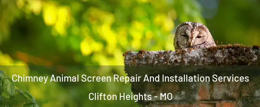 Chimney Animal Screen Repair And Installation Services Clifton Heights - MO