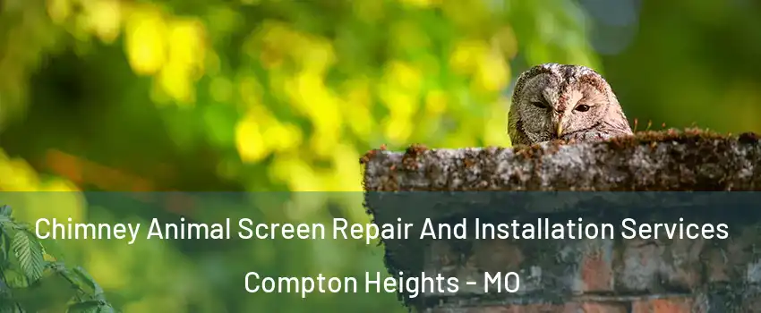 Chimney Animal Screen Repair And Installation Services Compton Heights - MO