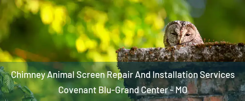 Chimney Animal Screen Repair And Installation Services Covenant Blu-Grand Center - MO