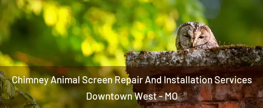Chimney Animal Screen Repair And Installation Services Downtown West - MO