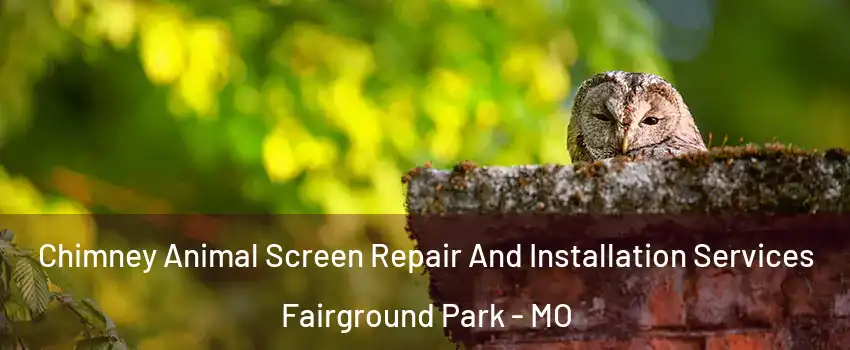 Chimney Animal Screen Repair And Installation Services Fairground Park - MO