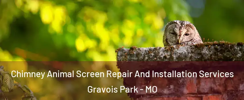 Chimney Animal Screen Repair And Installation Services Gravois Park - MO