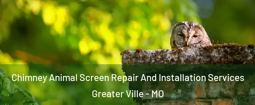 Chimney Animal Screen Repair And Installation Services Greater Ville - MO